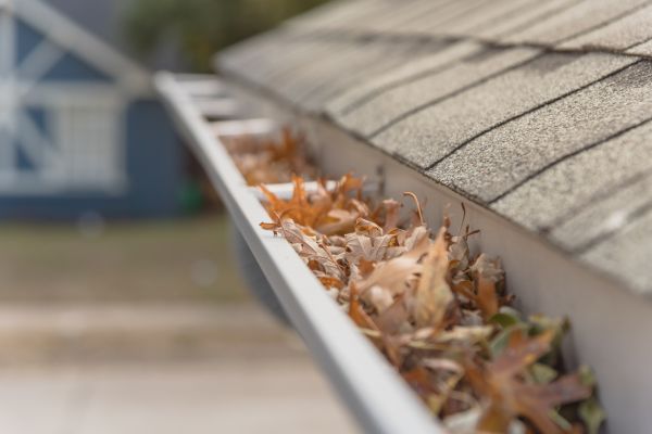 Leaf Barrier Installation in Cranston